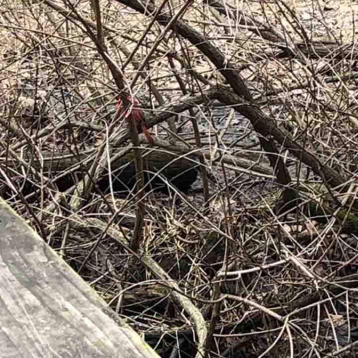 Wildwood Park