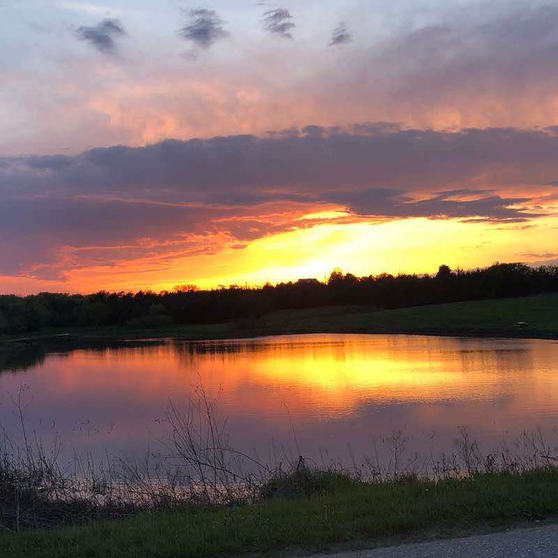 Wilber 1.0 walking route map in Wilber