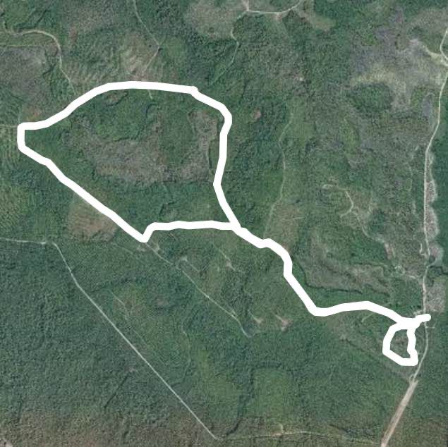 Conservation park, Panama City Beach, Florida