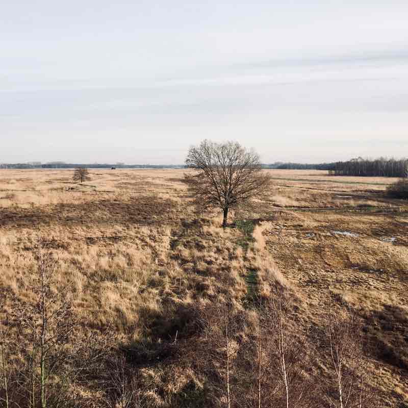 Large peat bog walking route map in Hille