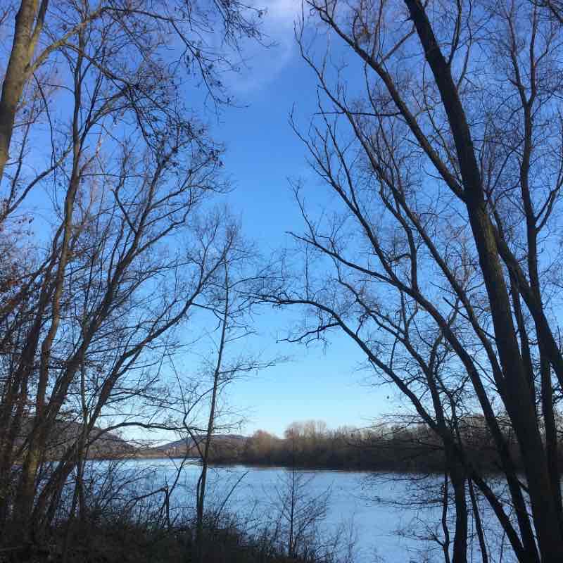 Südlicher See am Weserbogen