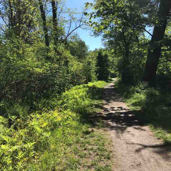 White Memorial walking route map in Litchfield