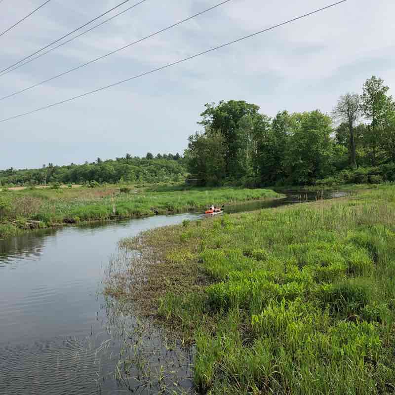 White mem to chickadees bridge to museum lit pond