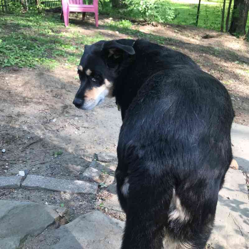 The daily walking route map in Fort Edward