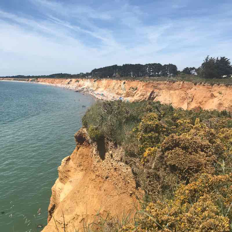 The golden tree walking route map in Paimpont