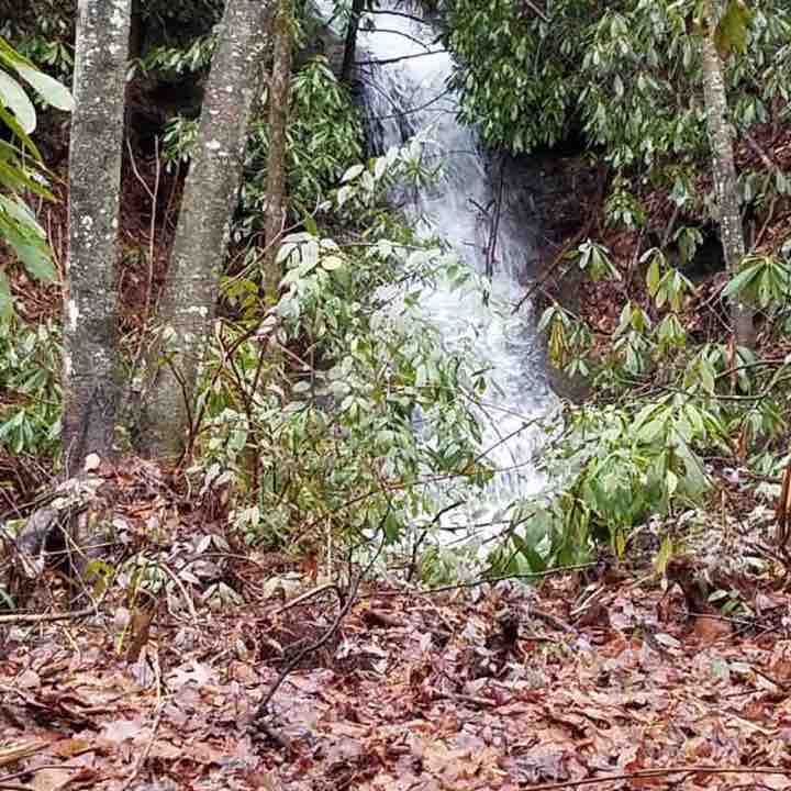 Home walking route map in Sapphire