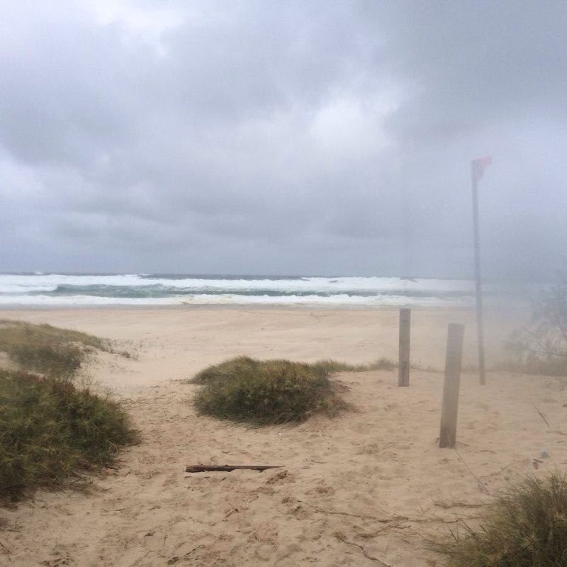 Salt Village Loop walking route map in Kingscliff