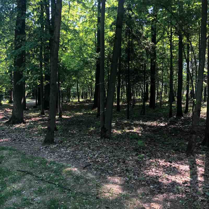 Лазутинка 4 км