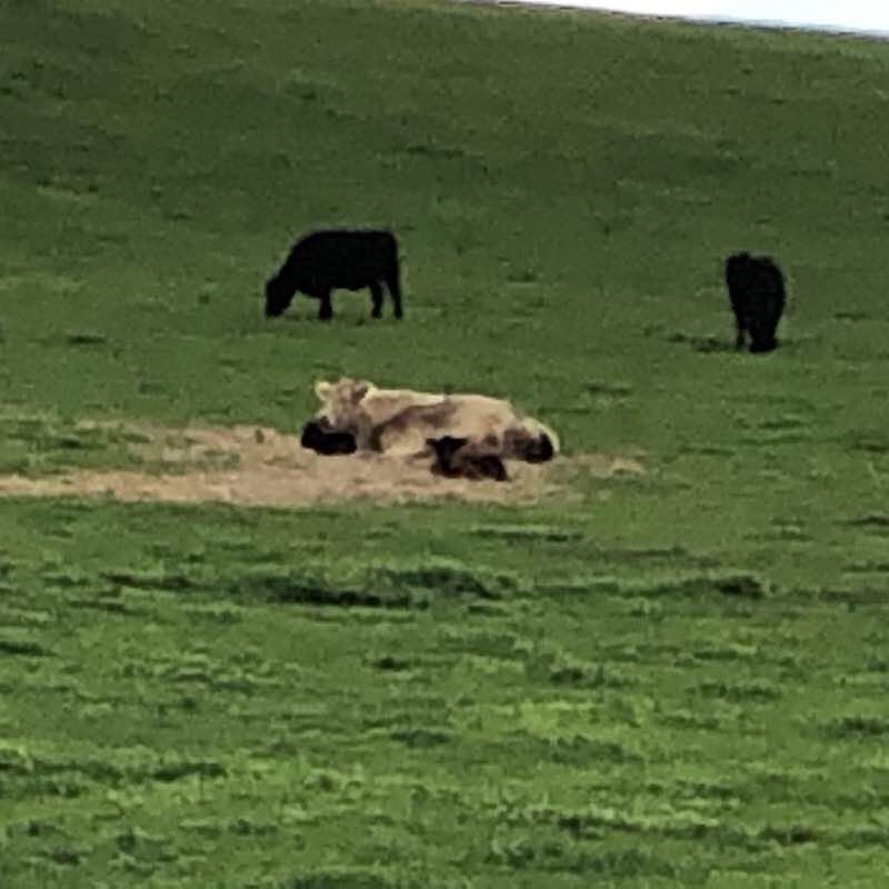 Lilydale to Warburton Rail Trail walking route map in Wandin North