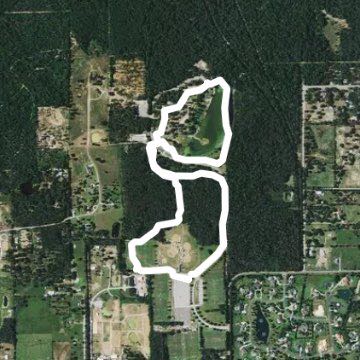 1st couple run (tracked)