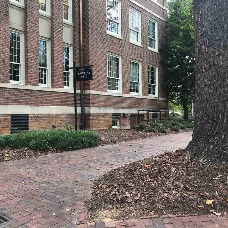 Walk from my dorm 
