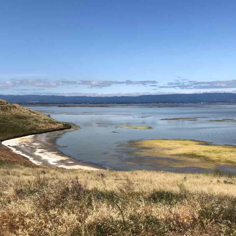 Coyote hills walking route map in Newark