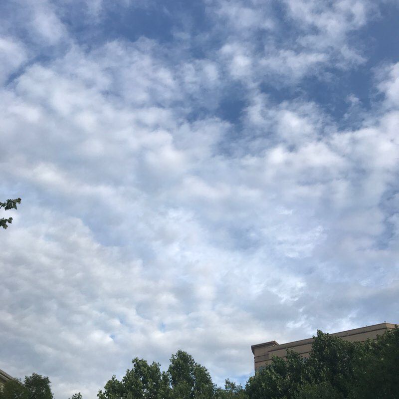 Hill by hill, circle by circle~10k walking route map in McLean