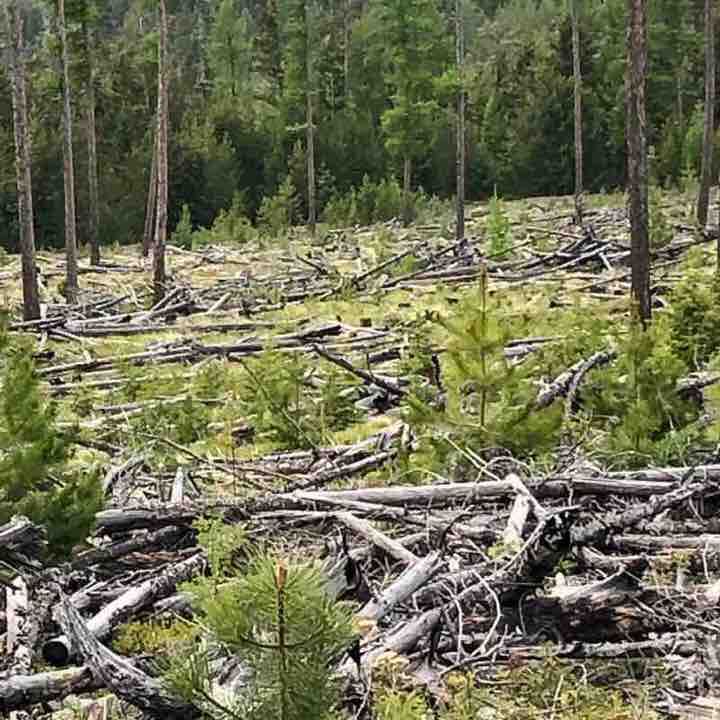 Kessler ridge walking route map in Kila