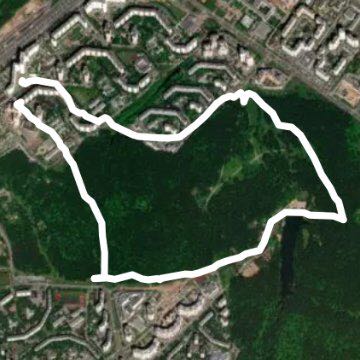 Тропаревский лесопарк