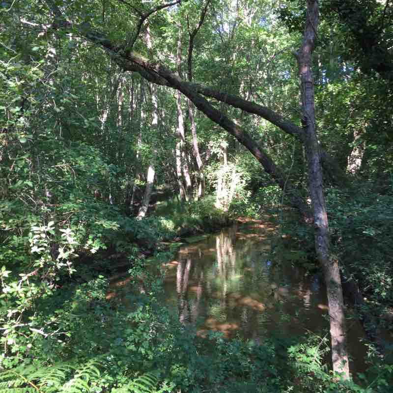 Tin mill bonneau mill walking route map in Martignas-sur-Jalle