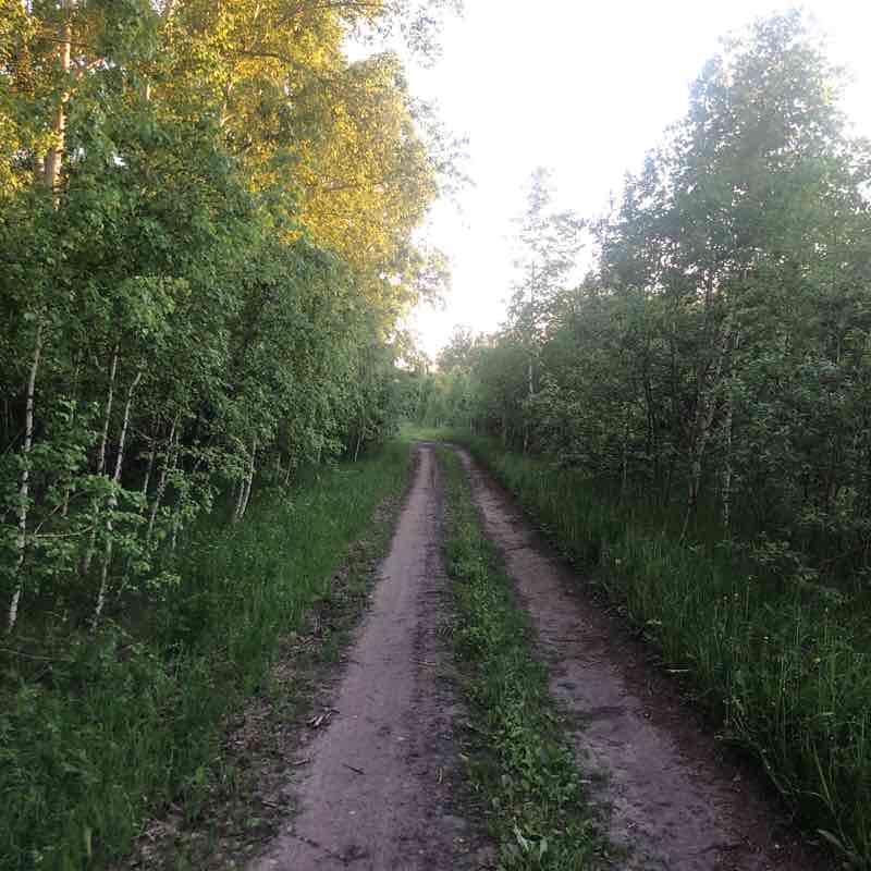 Urine- Berry walking route map in Mochishche