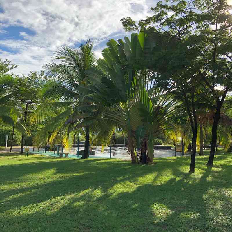 雨🌧️后阳光☀️三亚湾