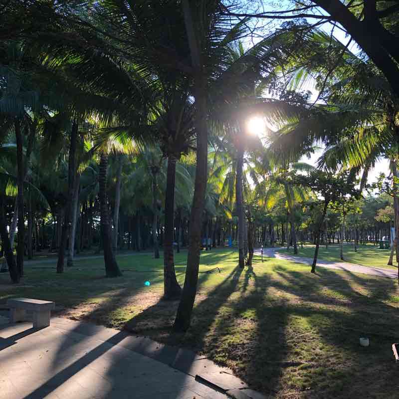 午后阳光☀️三亚湾