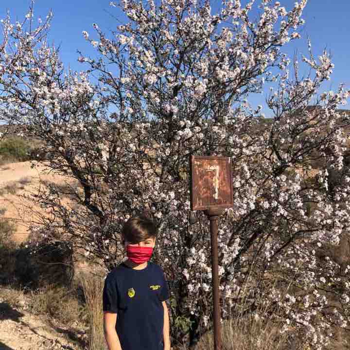 Vía verde Agridulce-Torrealta