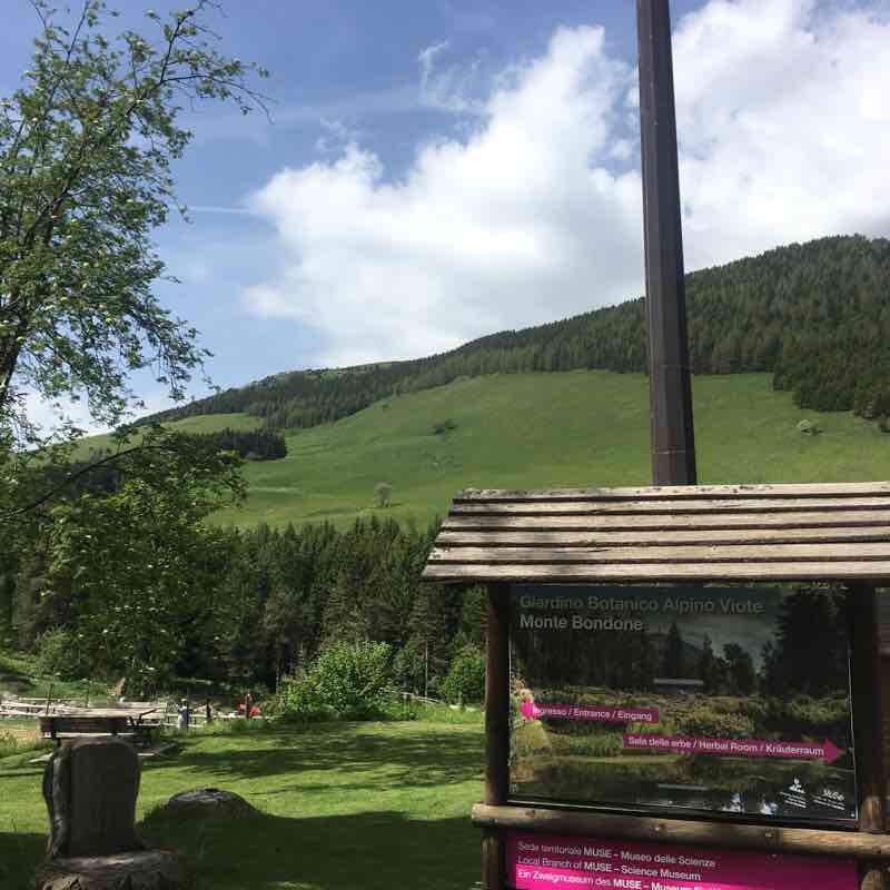 Da Viote a Vason per marciapiede panoramico