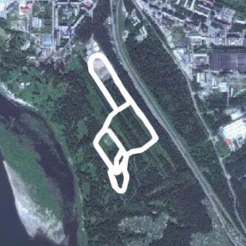 буревестник