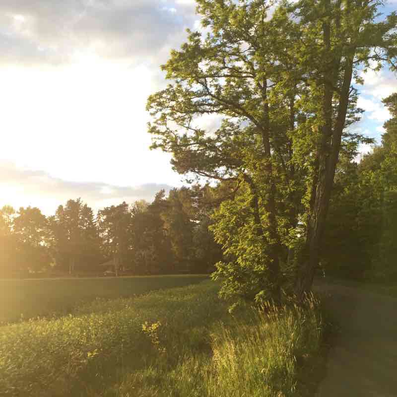 Rundweg / Ziestsee, westwärts startend