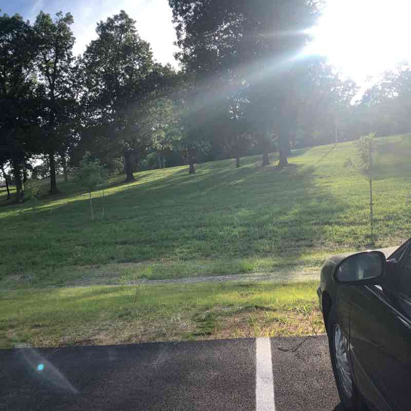 Dog park loop