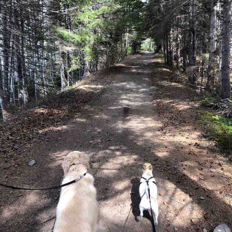 Lethbridge Rail Bed walking route map in Lethbridge