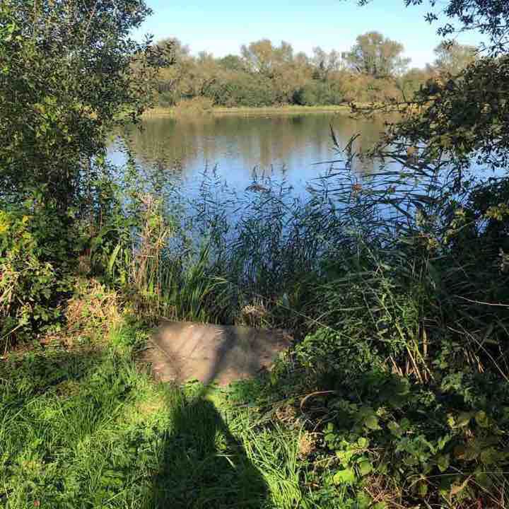 Oak Hill Nature Reserve - Goole 