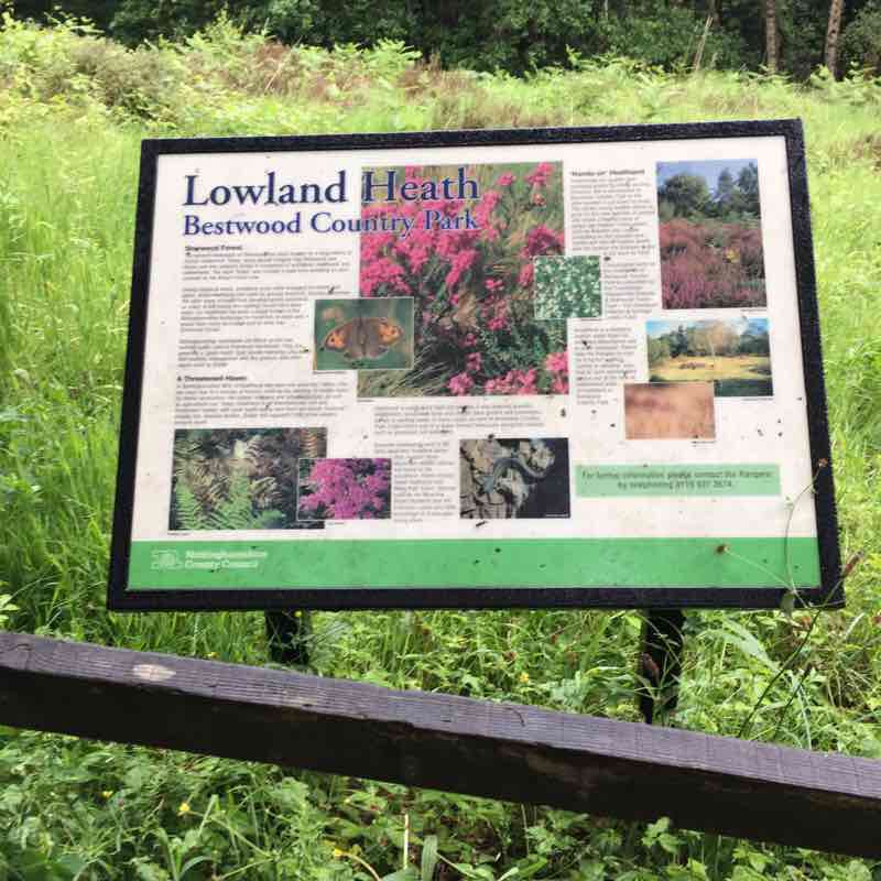 Bestwood Lodge circular walking route map in Arnold