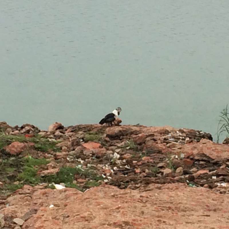 Sabarmati Riverfront