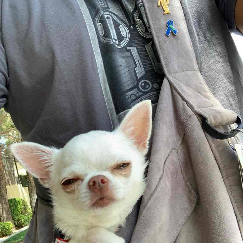 Links and lakes/Travina 2.1 mile loop