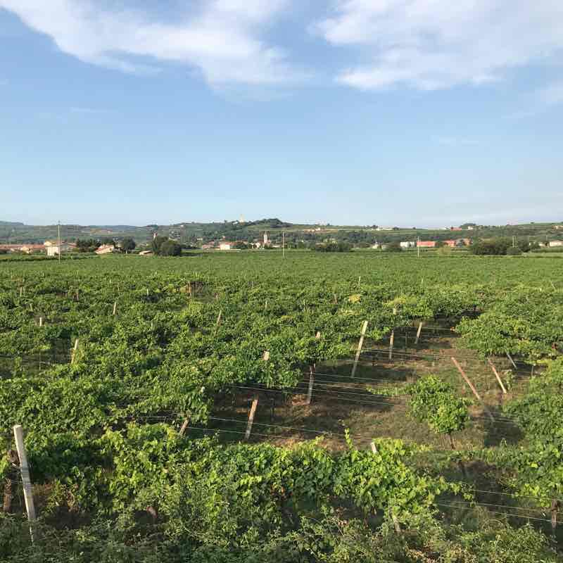 Tour of Caldiero walking route map in Caldiero