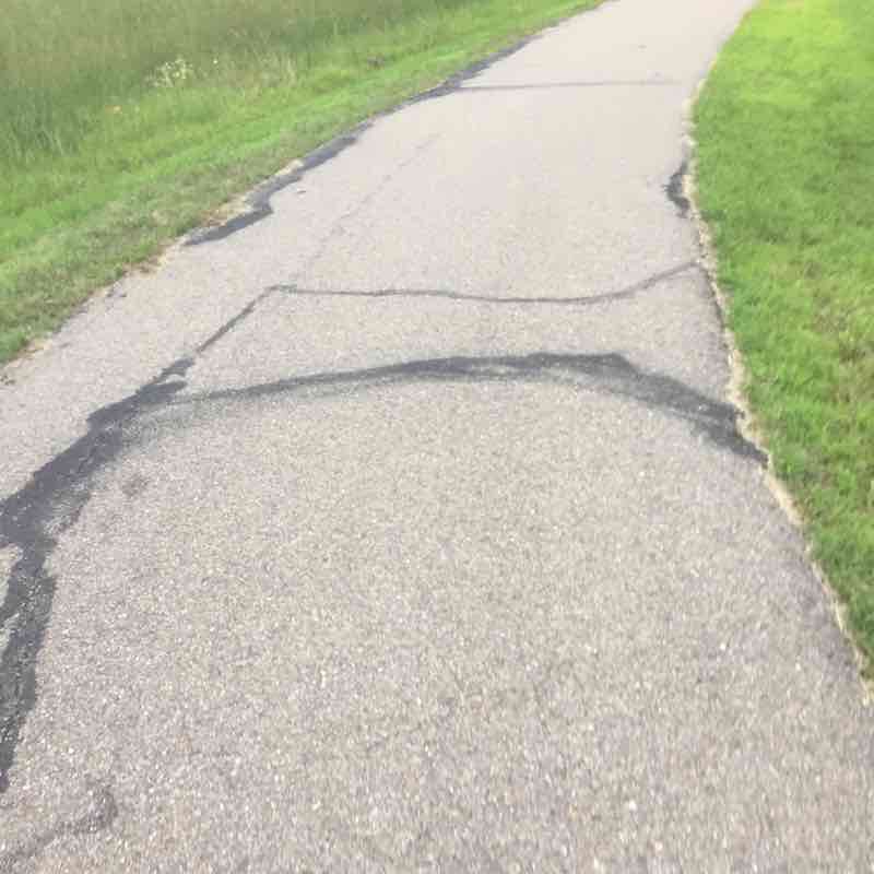 Foreman park walking route map in Foreman