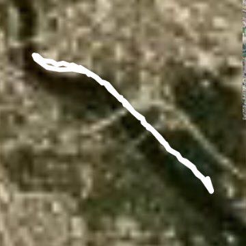 Old Shriners hospital trail .3.6 miles