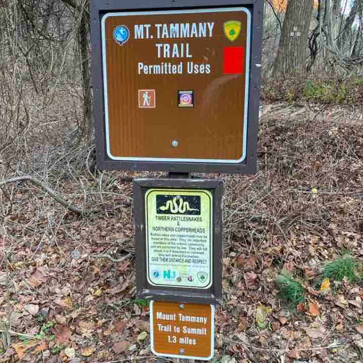 Mount Tammany