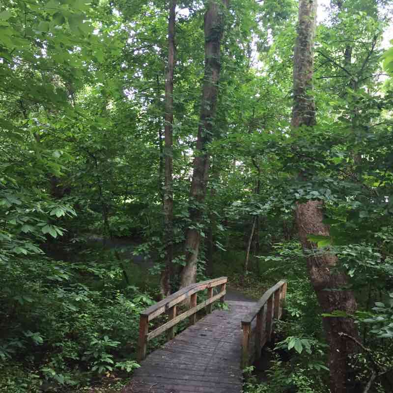 Northbrook Trail walking route map in Centreville