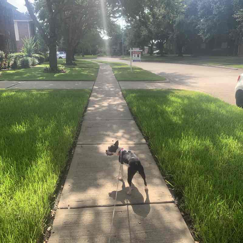 Colony Lakes  walking route map in Missouri City