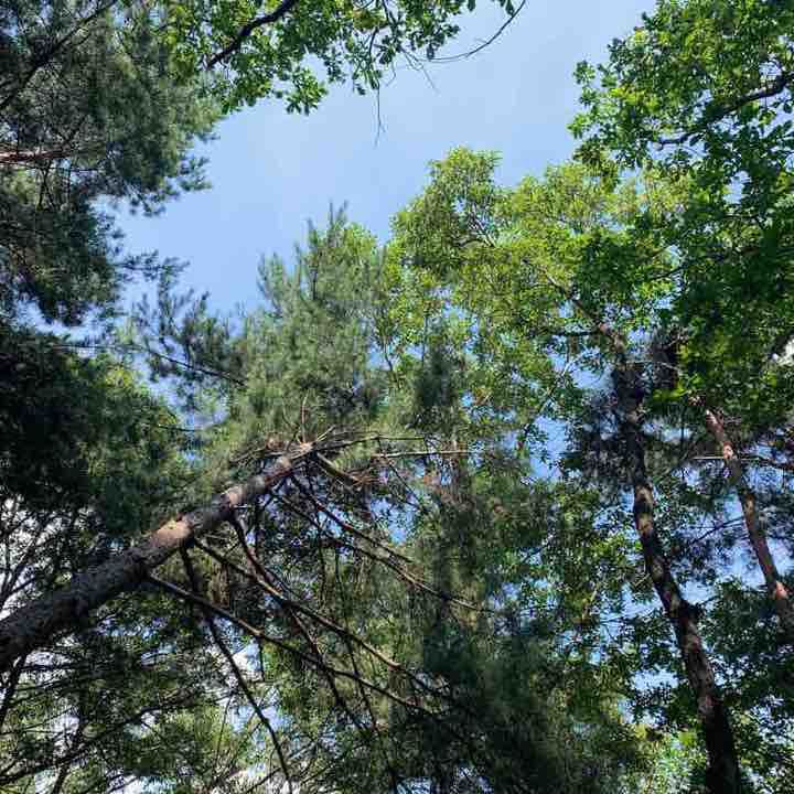 많이 쉬운 청계사ㄴ