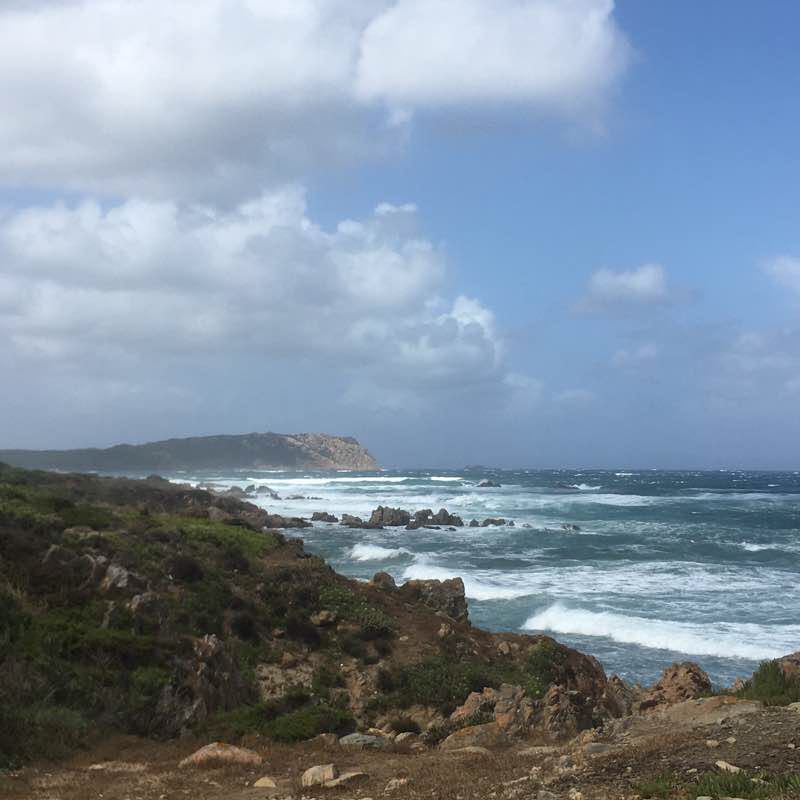 Sea and pine forest walking route map in Rena Majore