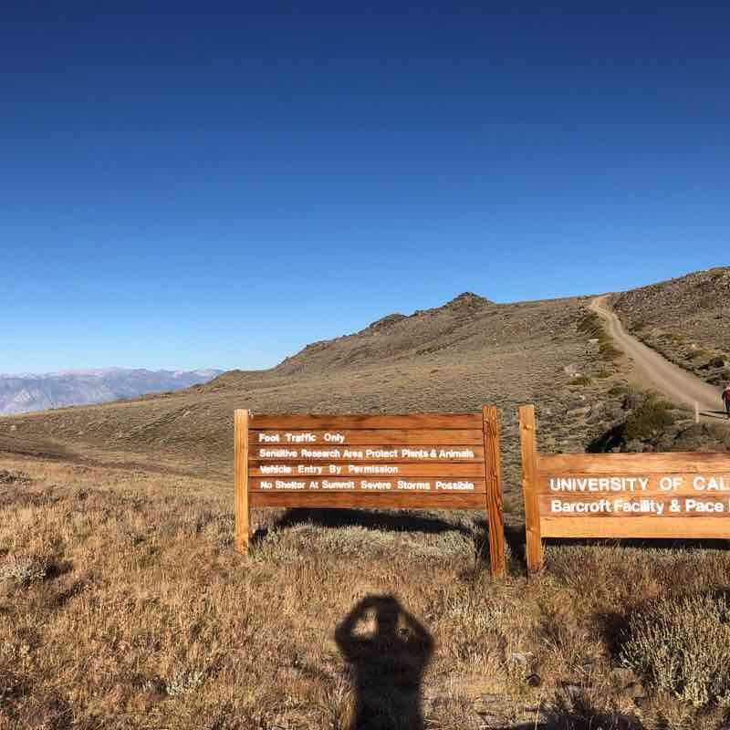 White Mountain Peak Trail Walk California, USA Pacer
