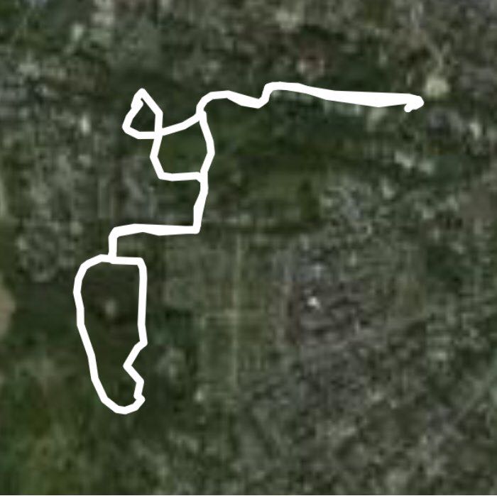 kleiner Tannenwald 🏃‍♀️