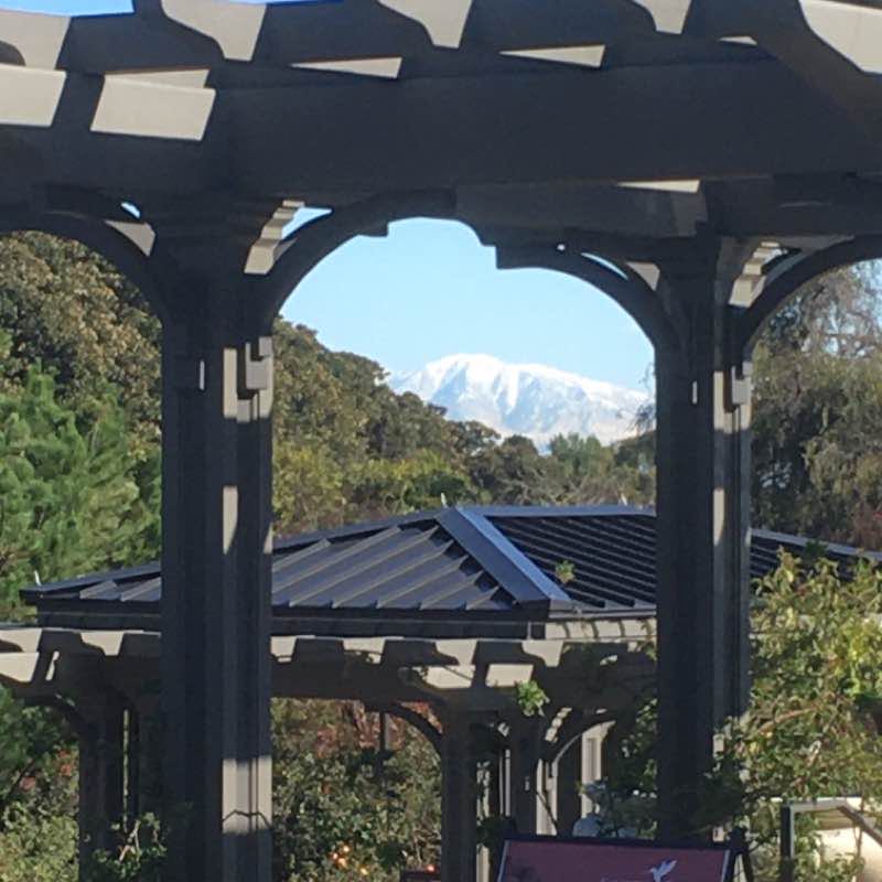 South Coast Botanical Garden