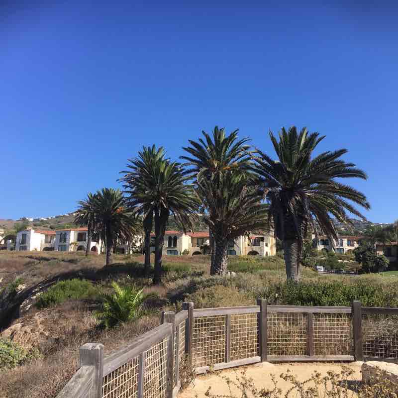 Pelican cove cliff walk 