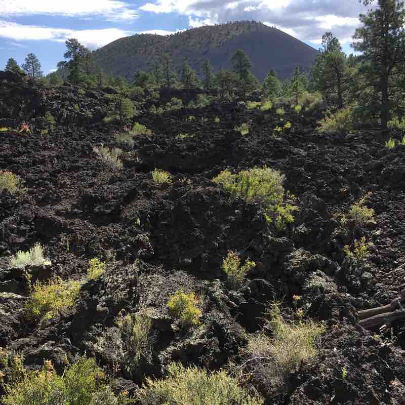 Short Lava Flow Trail