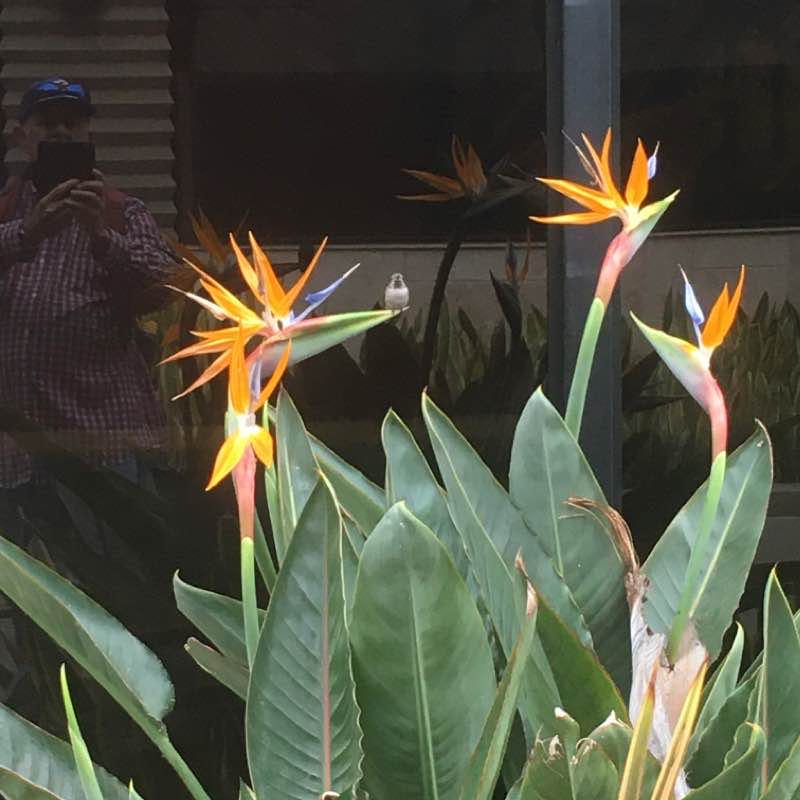 Del Amo Mall (North)