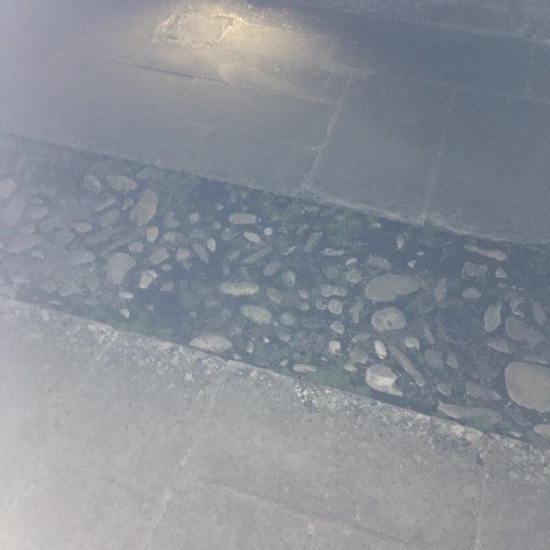 Camminata anno 2019