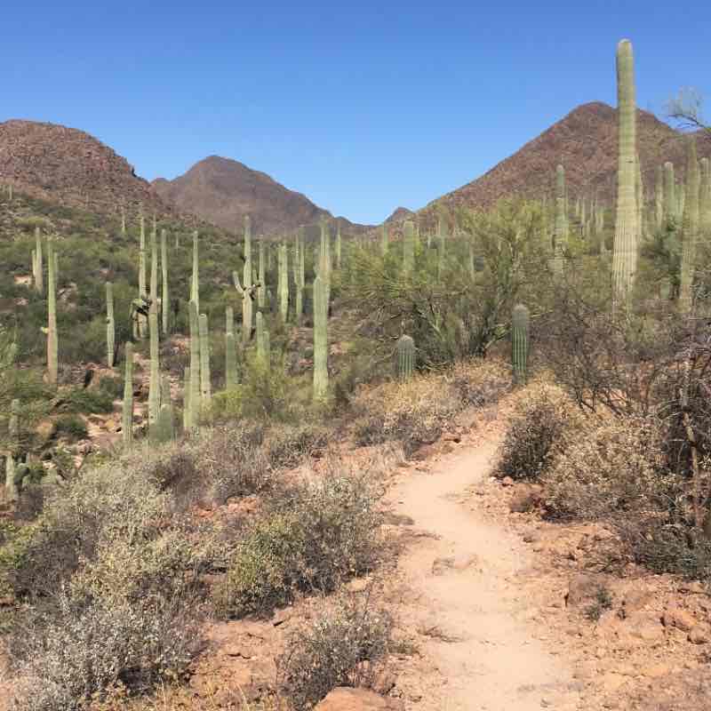 Hidden Canyon Trail Arizona