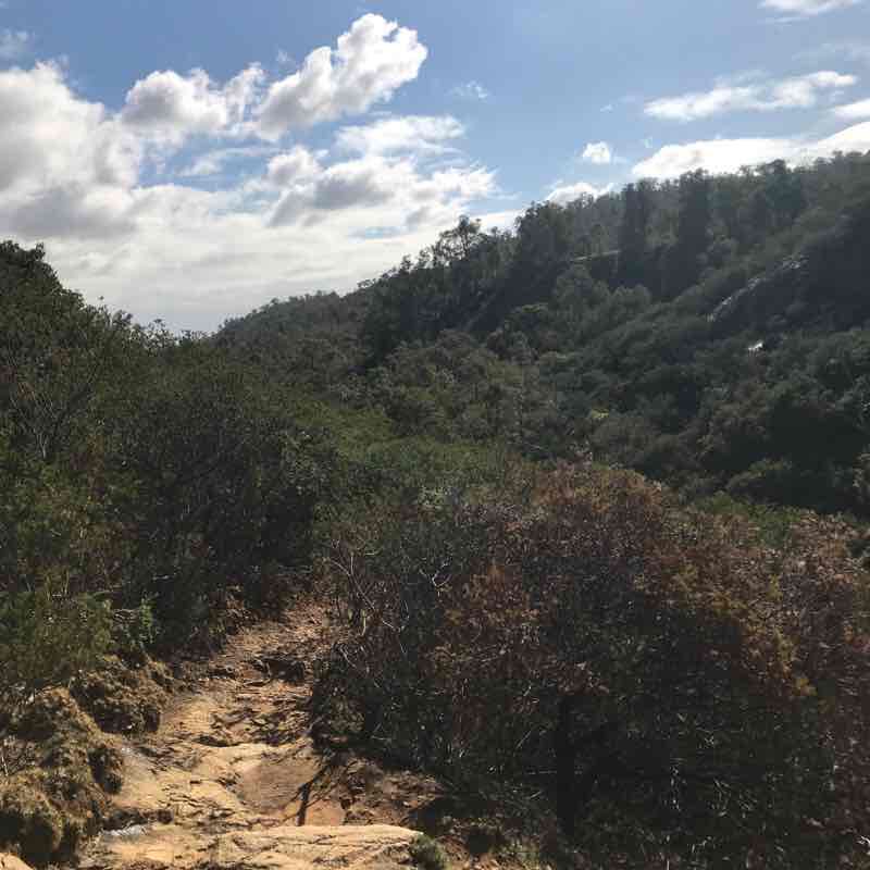 Ellis Brook to Bickley Reservior walking route map in Martin